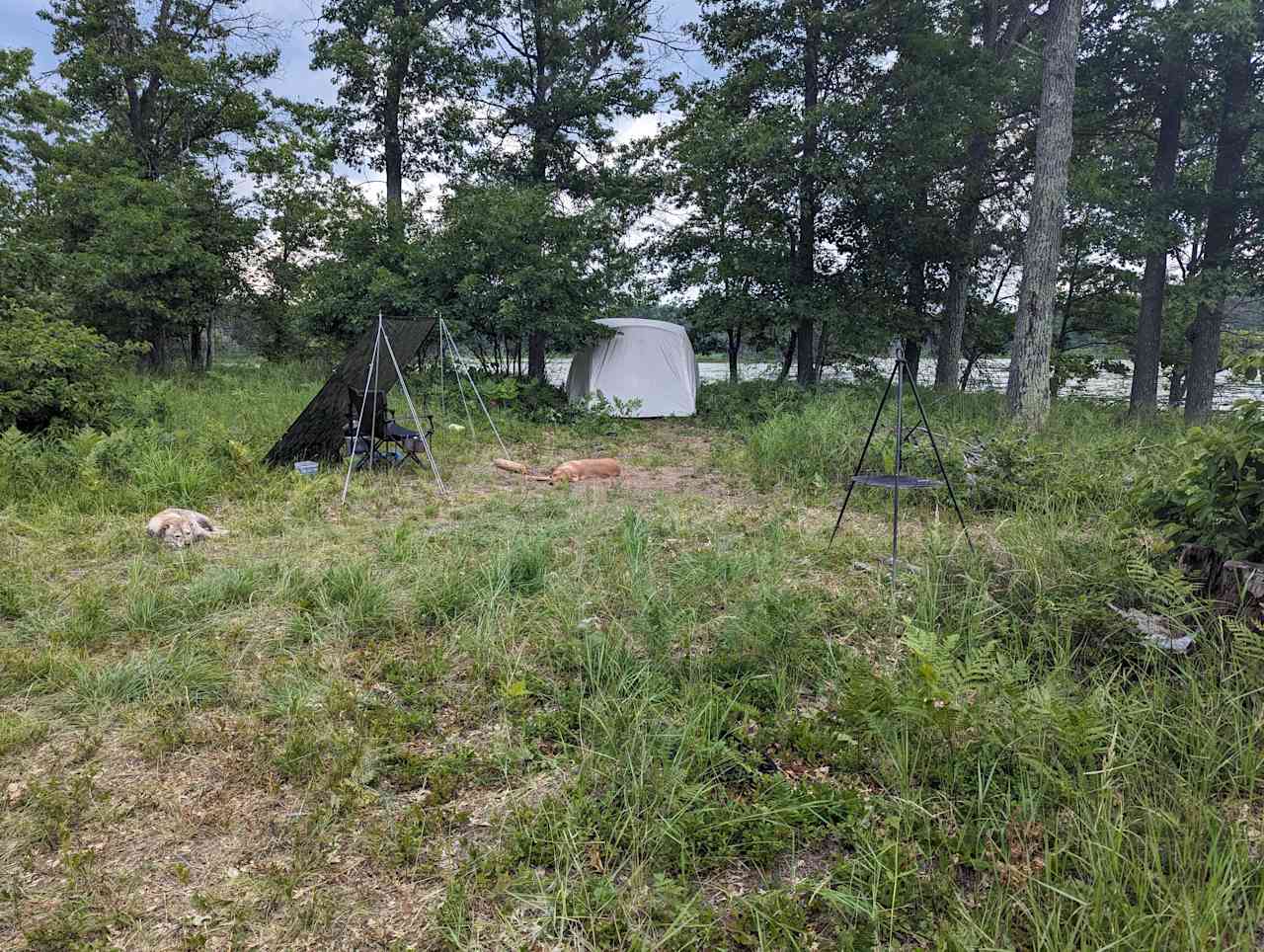 site looking to north