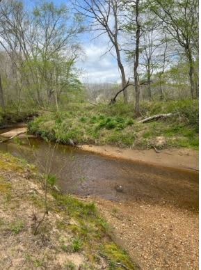 Bills Creek, Lake Lure