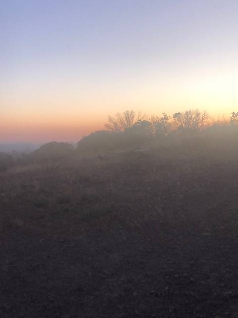 Sunset Colors