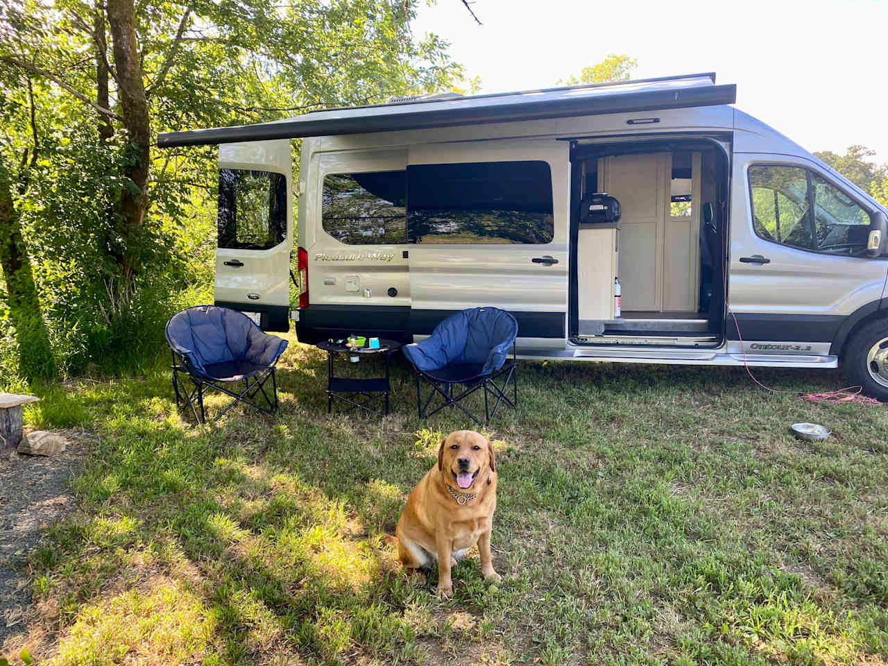 Camp Birdwatch