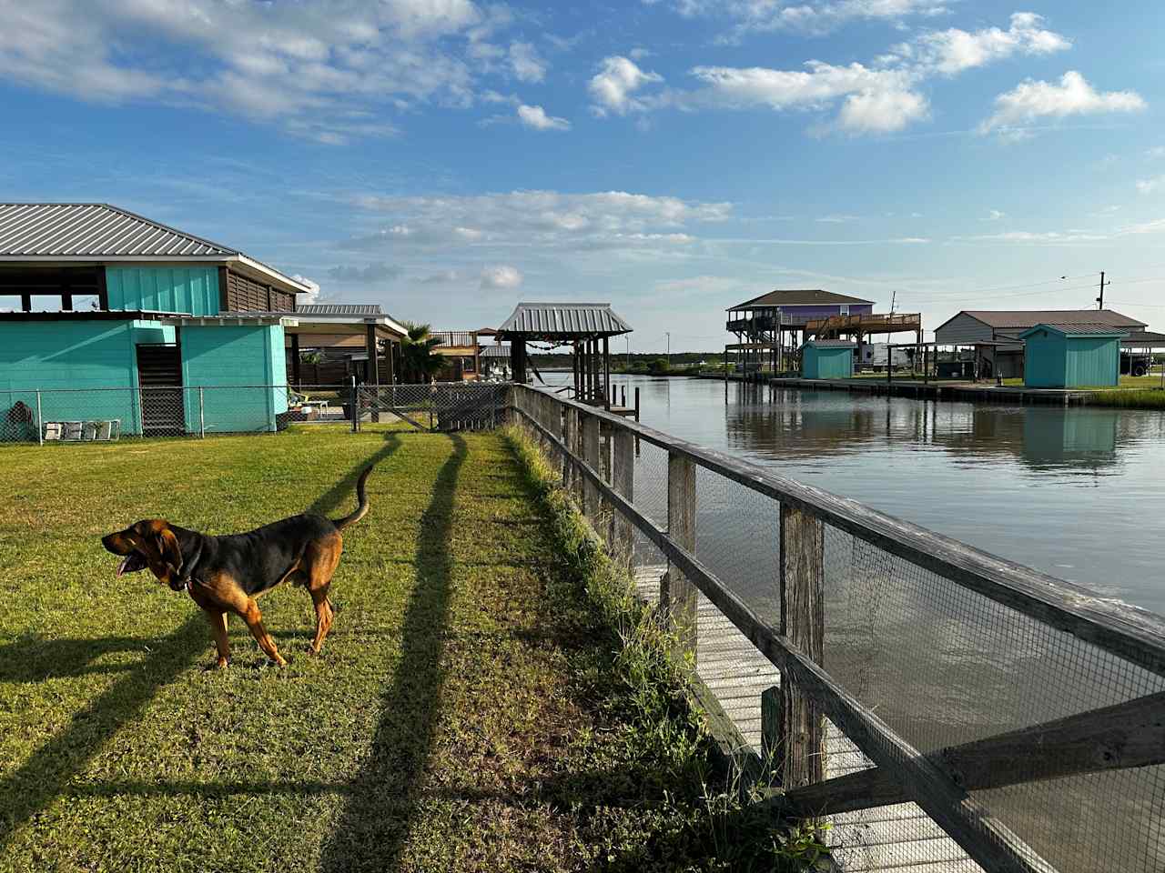 Bulkhead fence, dock, canal and bloodhound. 