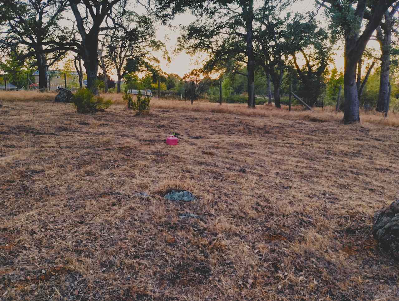 Golden Briar Camp