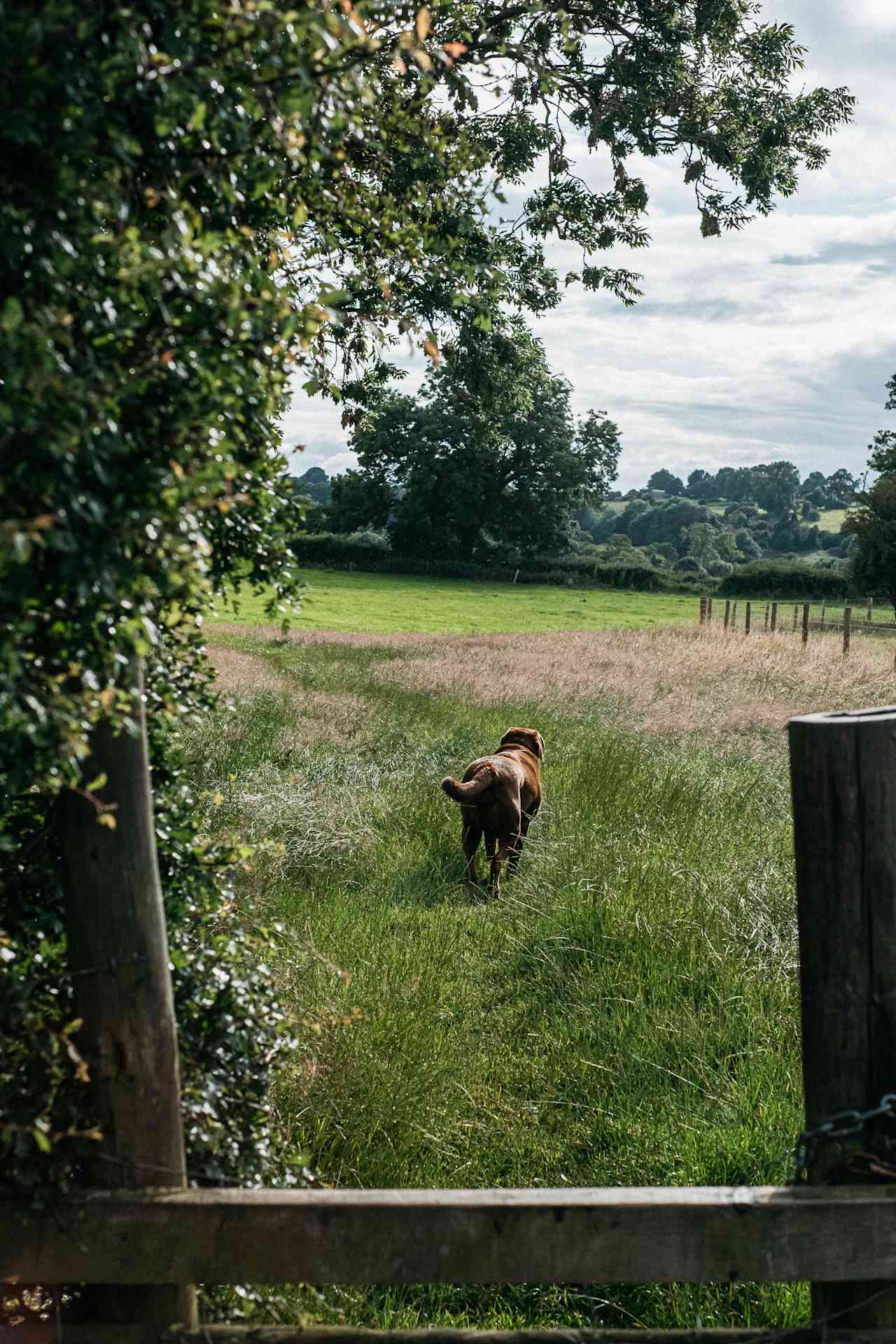 Lots of tranquil walks right from the campsite
