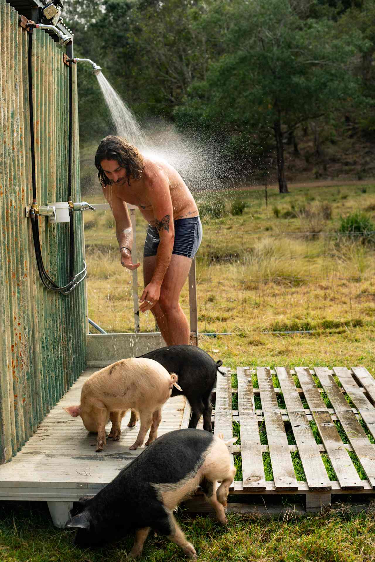 Outdoor shower with company!
