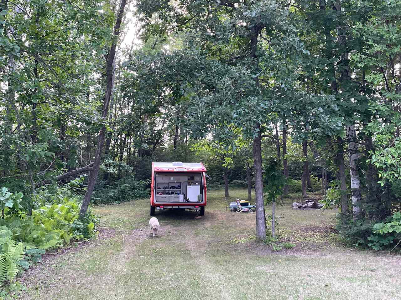 Oak site