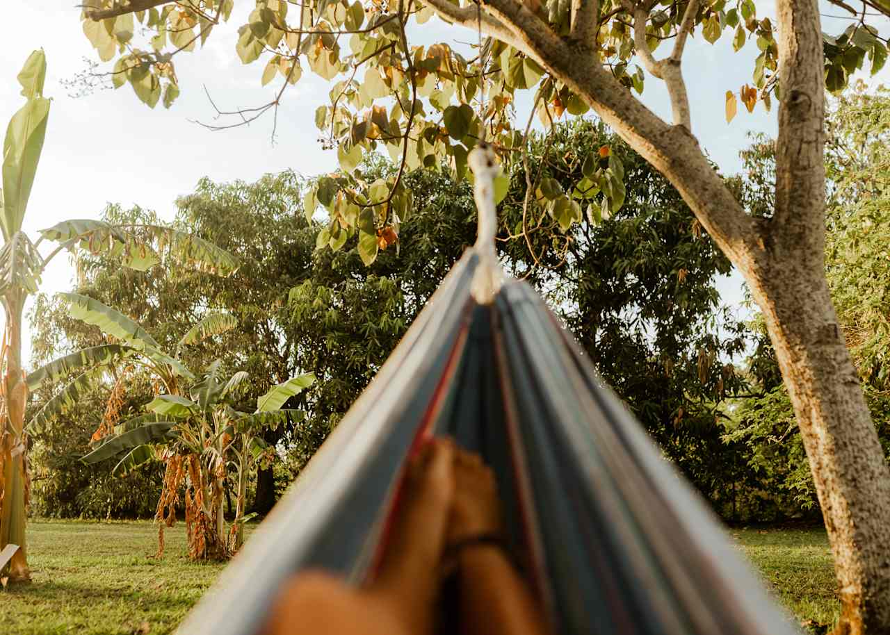 Casa mango