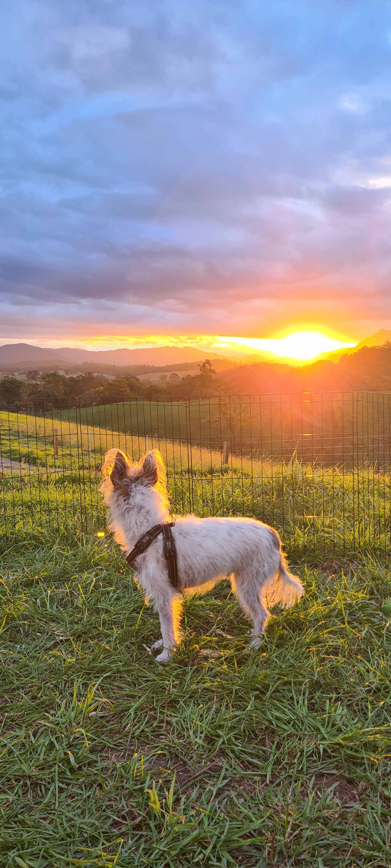 Valley View Escape