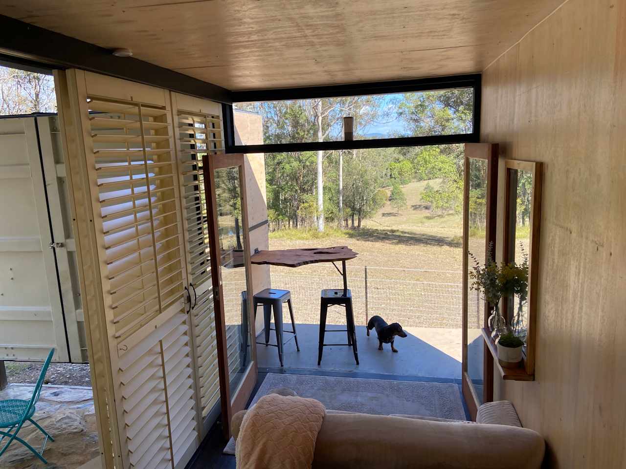 View from loft bed. 