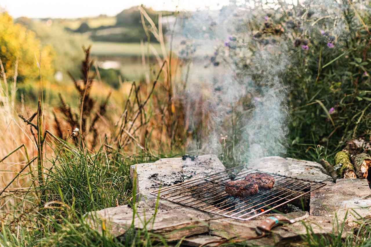 Cooking dinner on the firepit