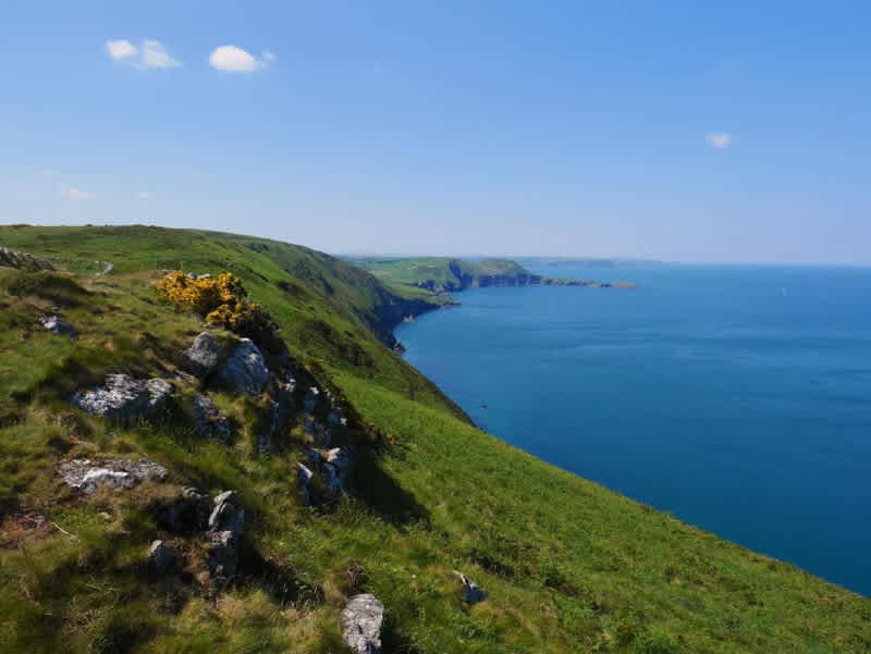 Ffynnonwen