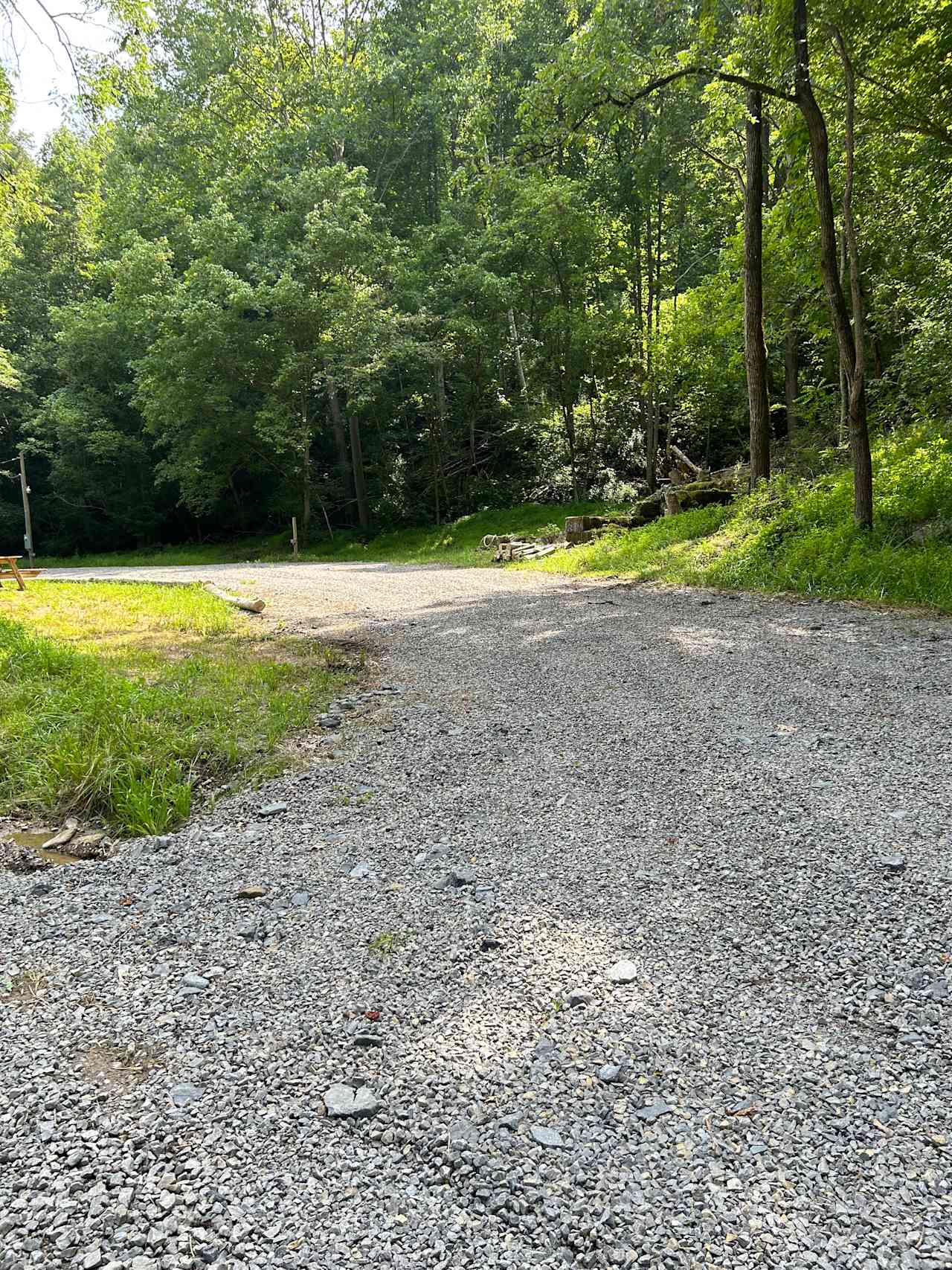 DaLazy Bear Camp
