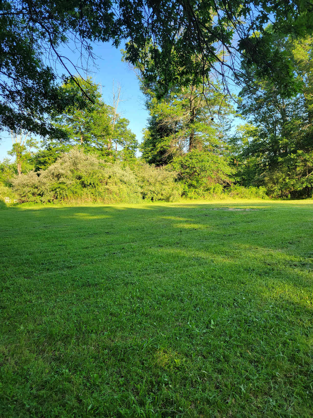 Oak Grove Acres