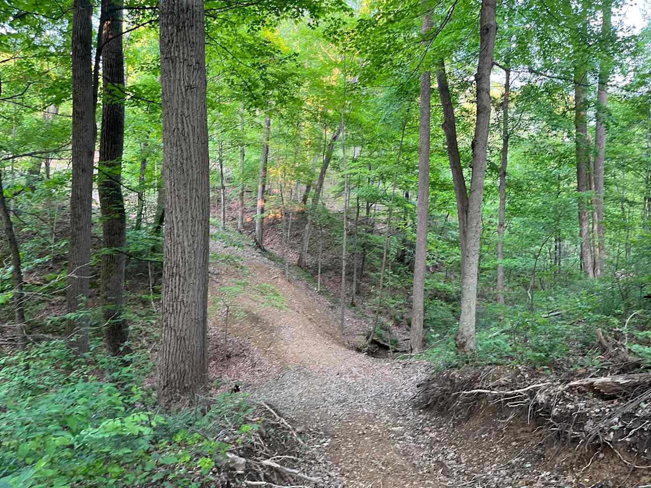 Seasonal creek crossing on the hiking trail
