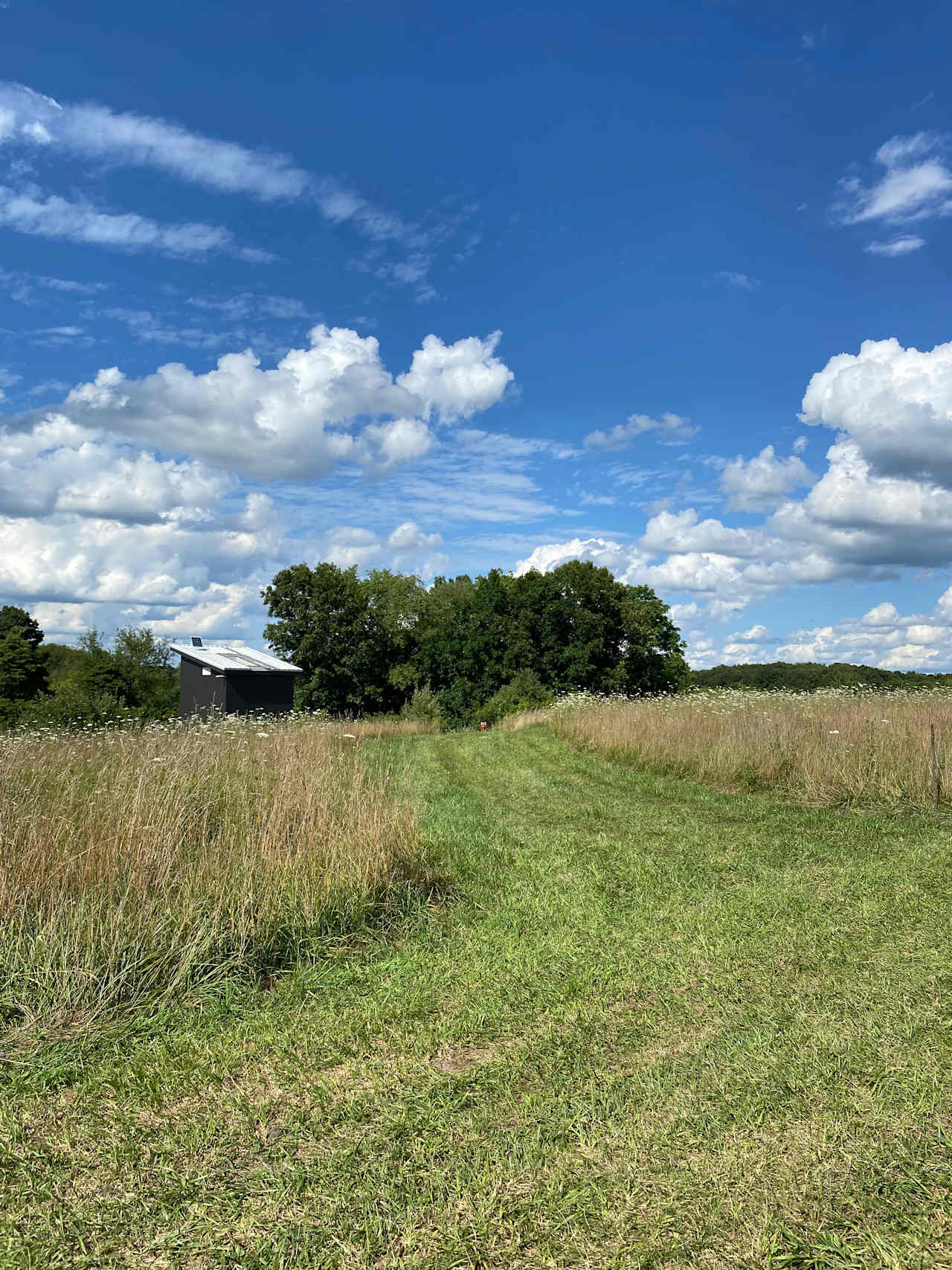 Marshwiggle Farm