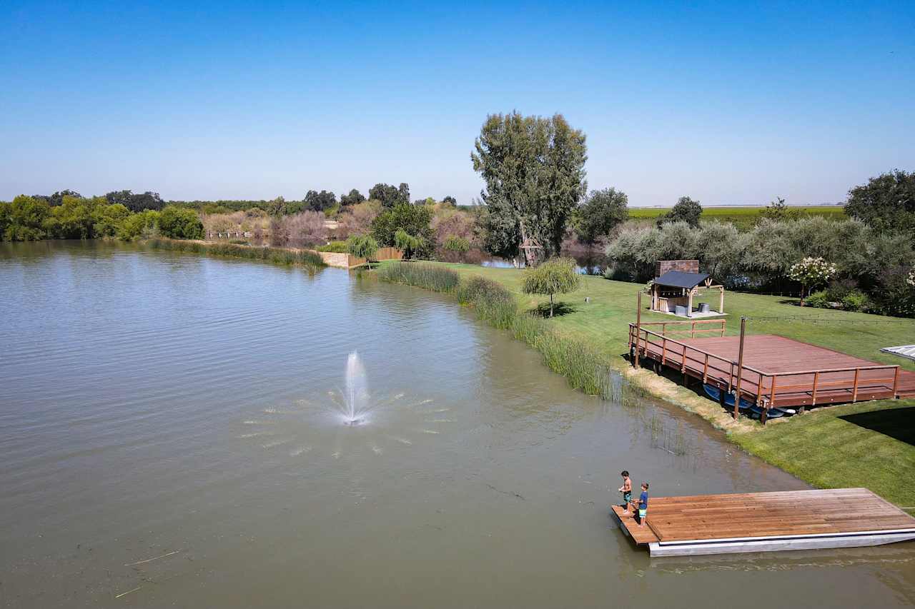 Dock and grass area on the lake.