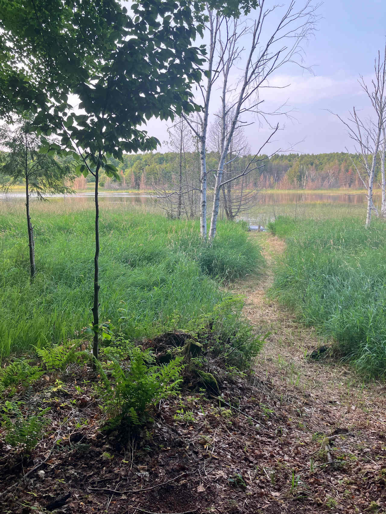 Beaver Island - Dark Sky Resort