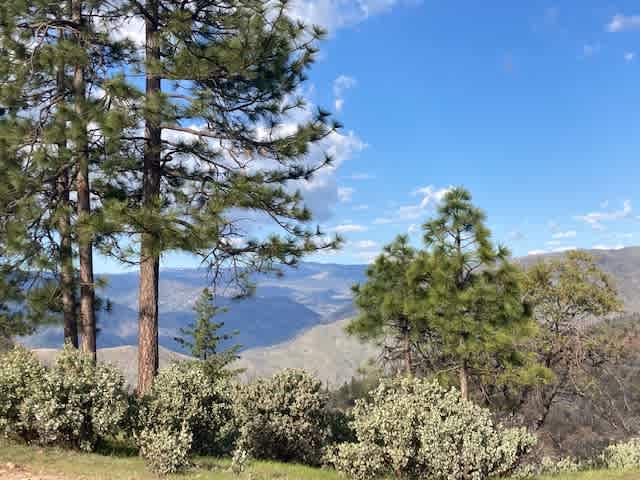 El Captain’s View 4X4 ONLY Yosemite