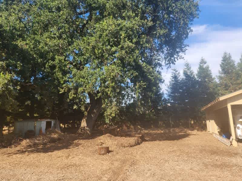 Managed Mischief Micro Farm