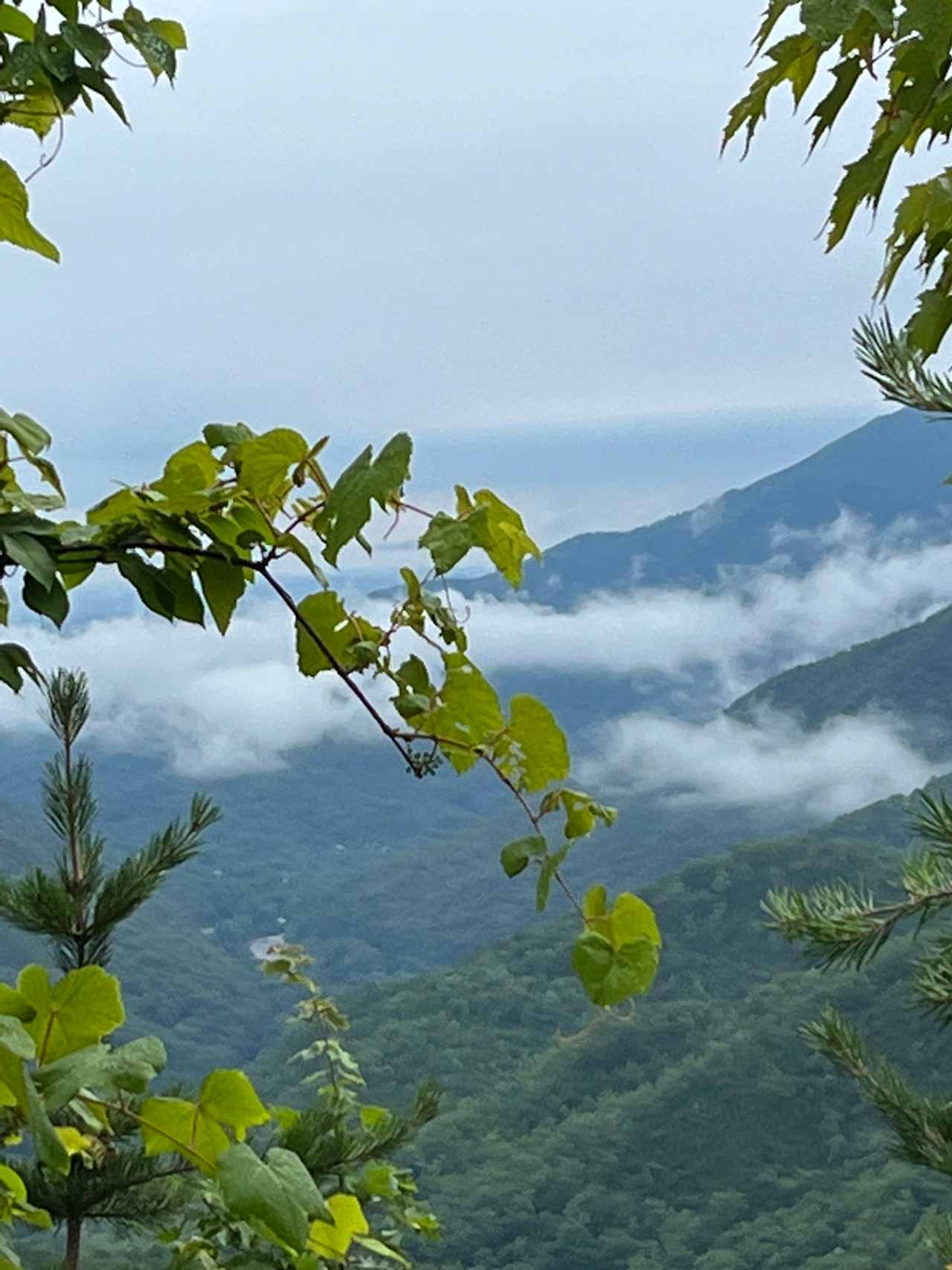 Views from Rocky Top
