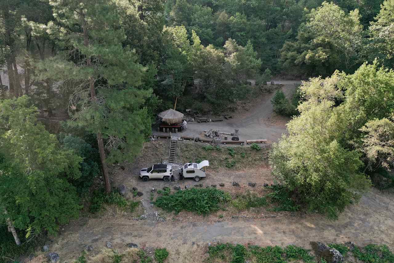 Animal Land