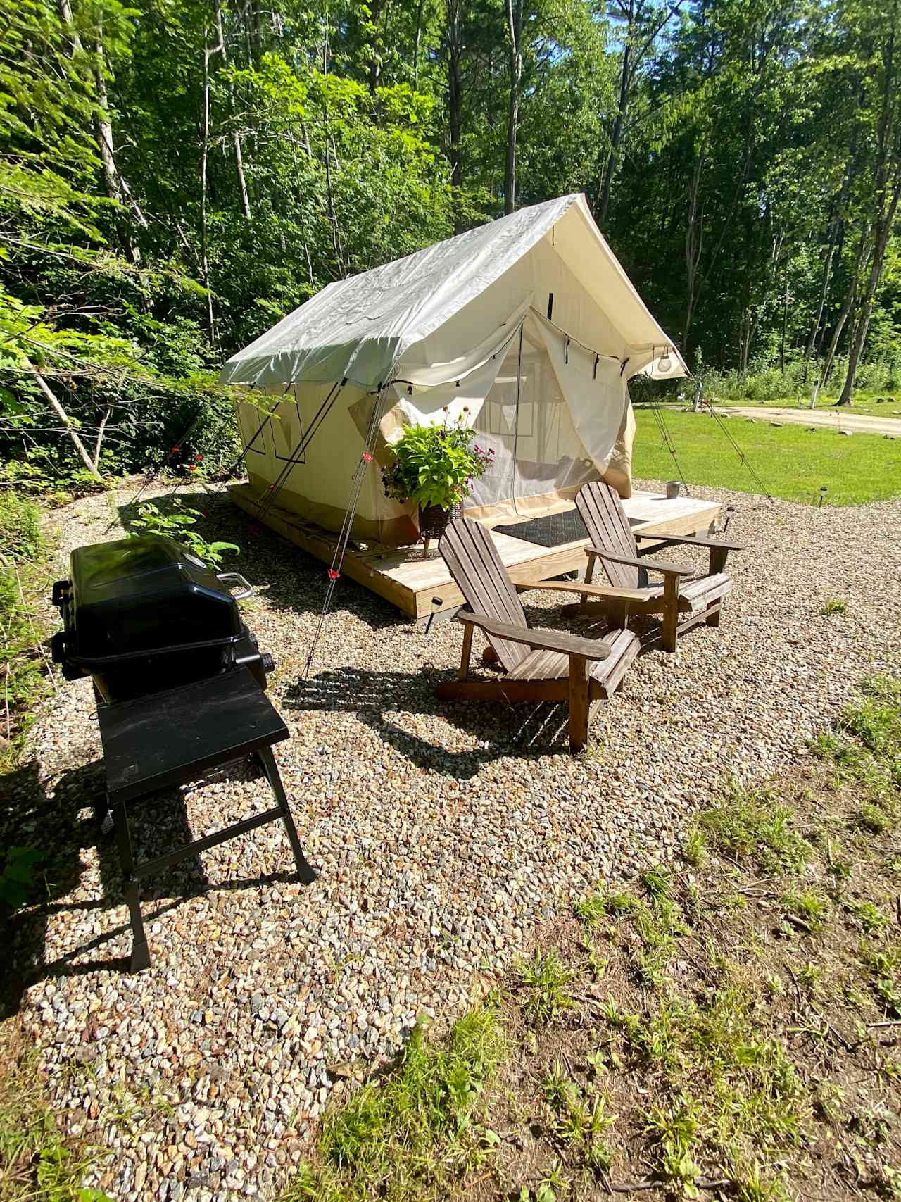 The Loon's Nest