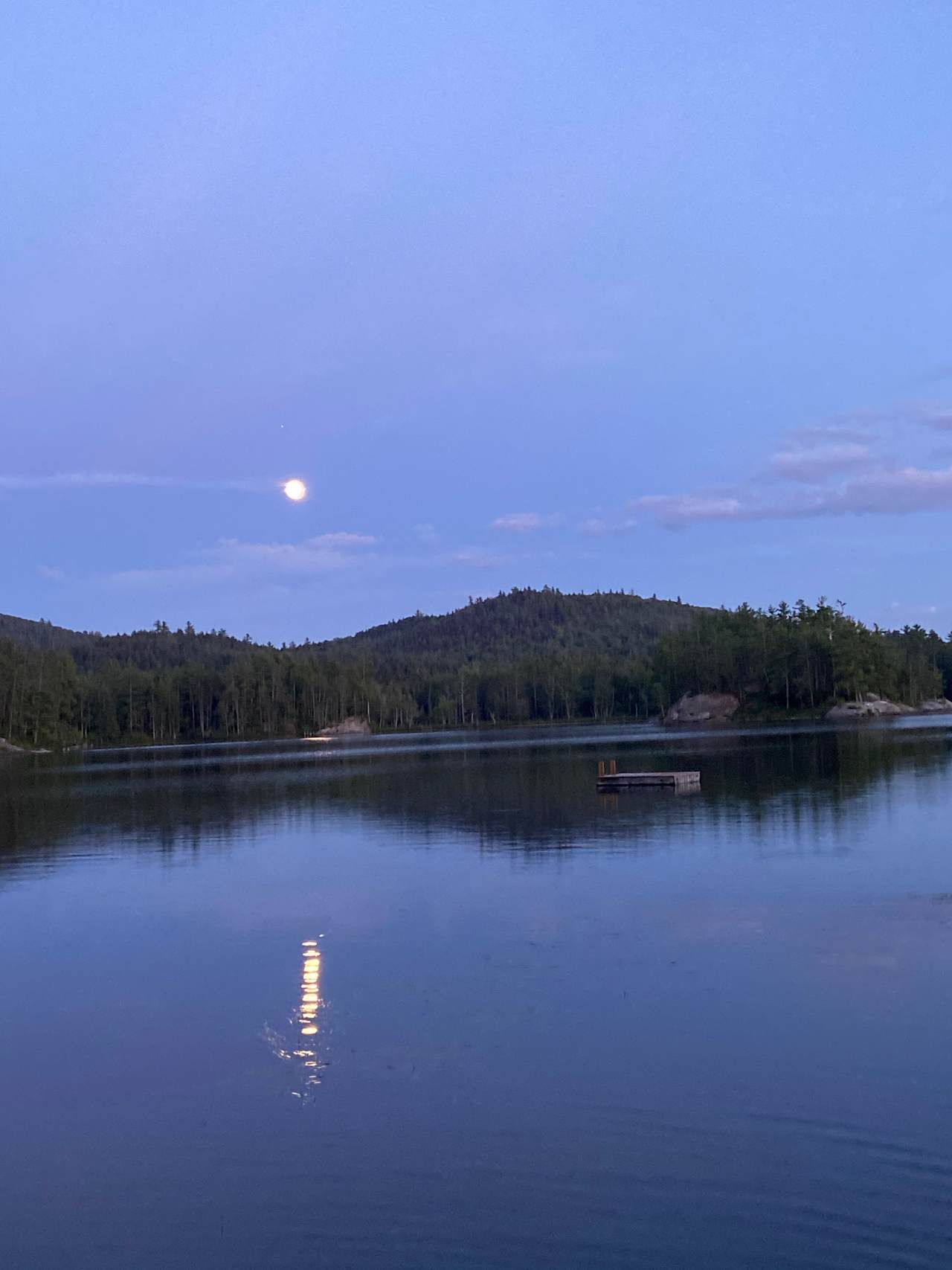 The Loon's Nest