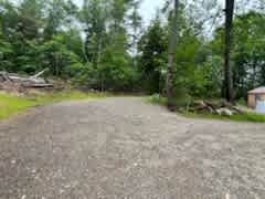 The Forest Poshtel