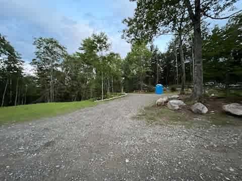 The Forest Poshtel