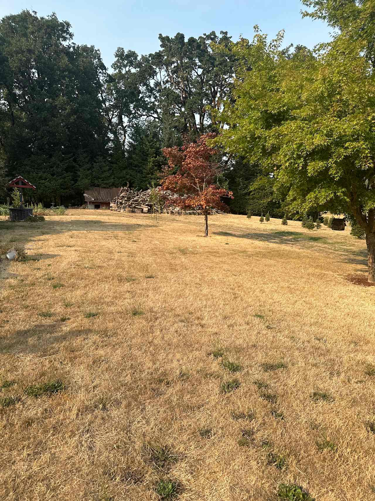 Razey acres