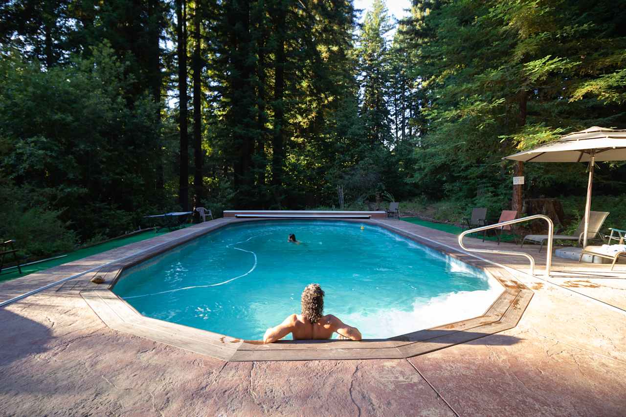 Redwood Paradise Camping