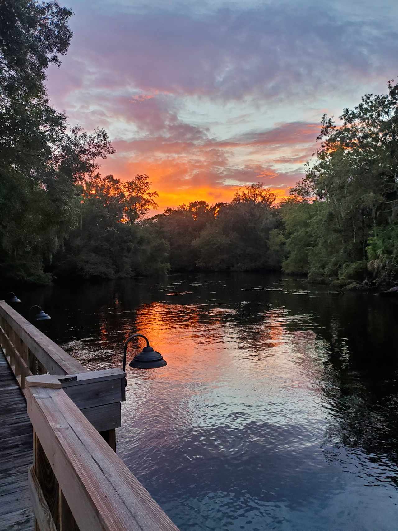 River Rise Cottage On the Aucilla