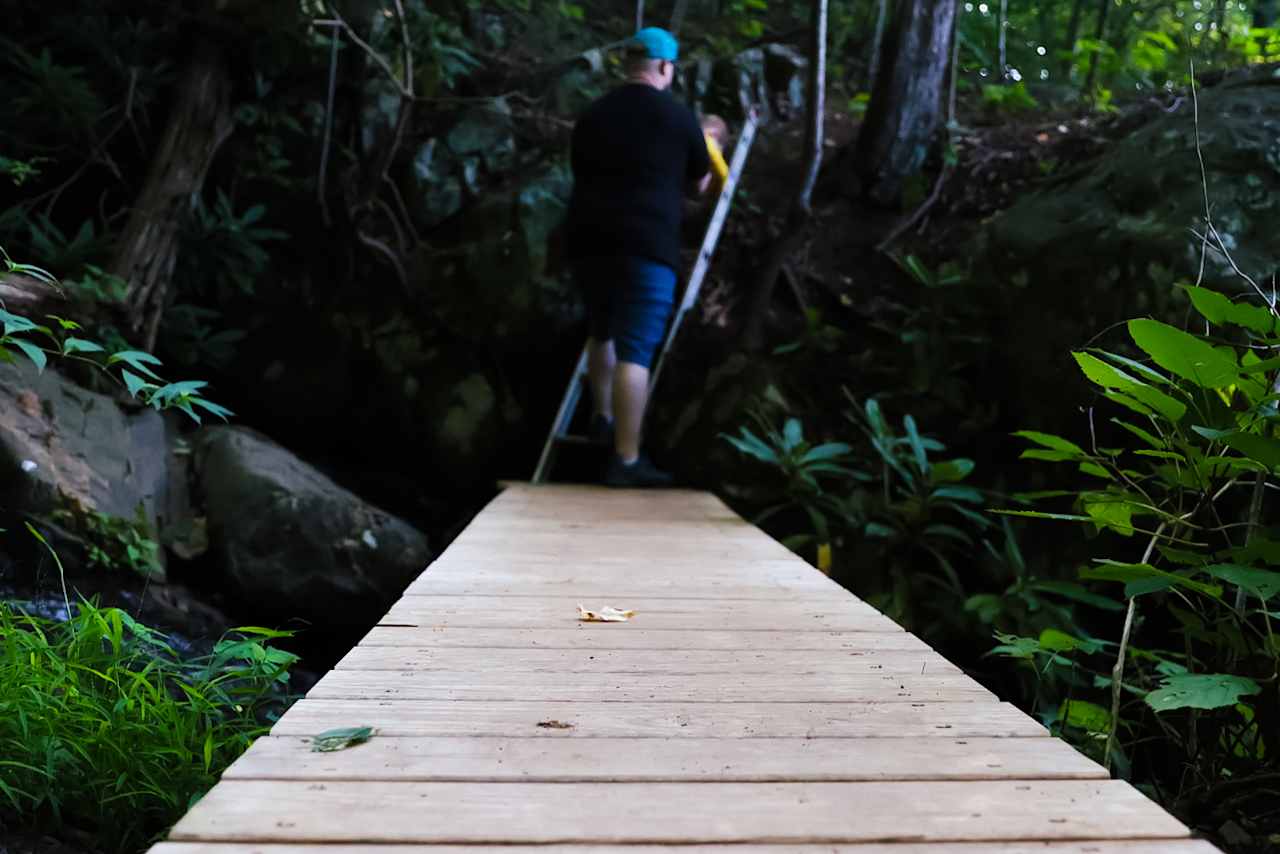 The host built a bridge so we could all enjoy the on-site waterfall.