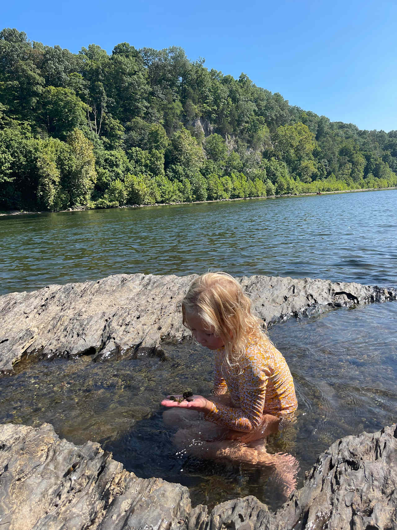 Taylors Landing Camping Club