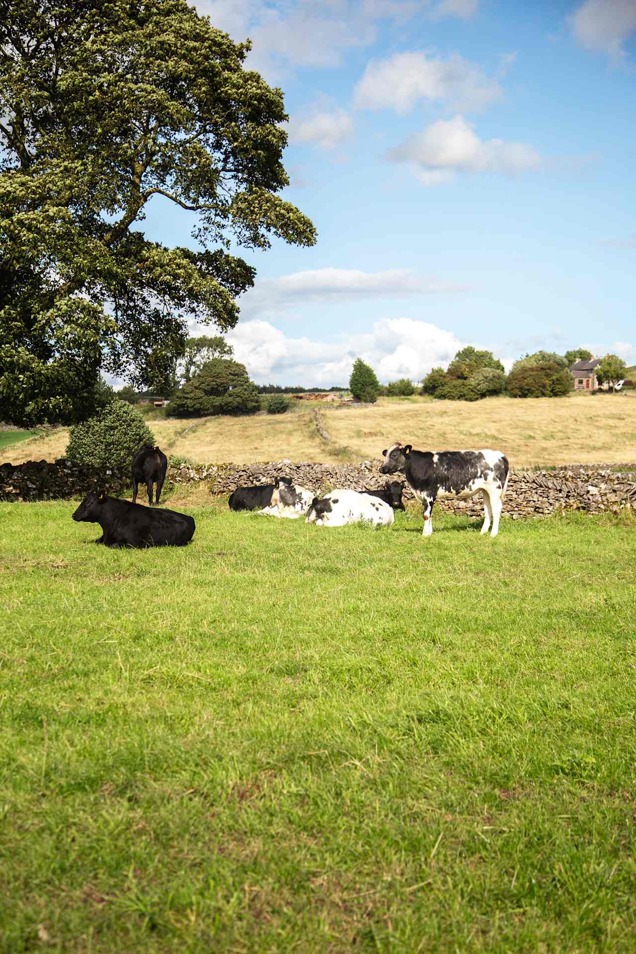 Lots of animals to see whilst exploring the area!