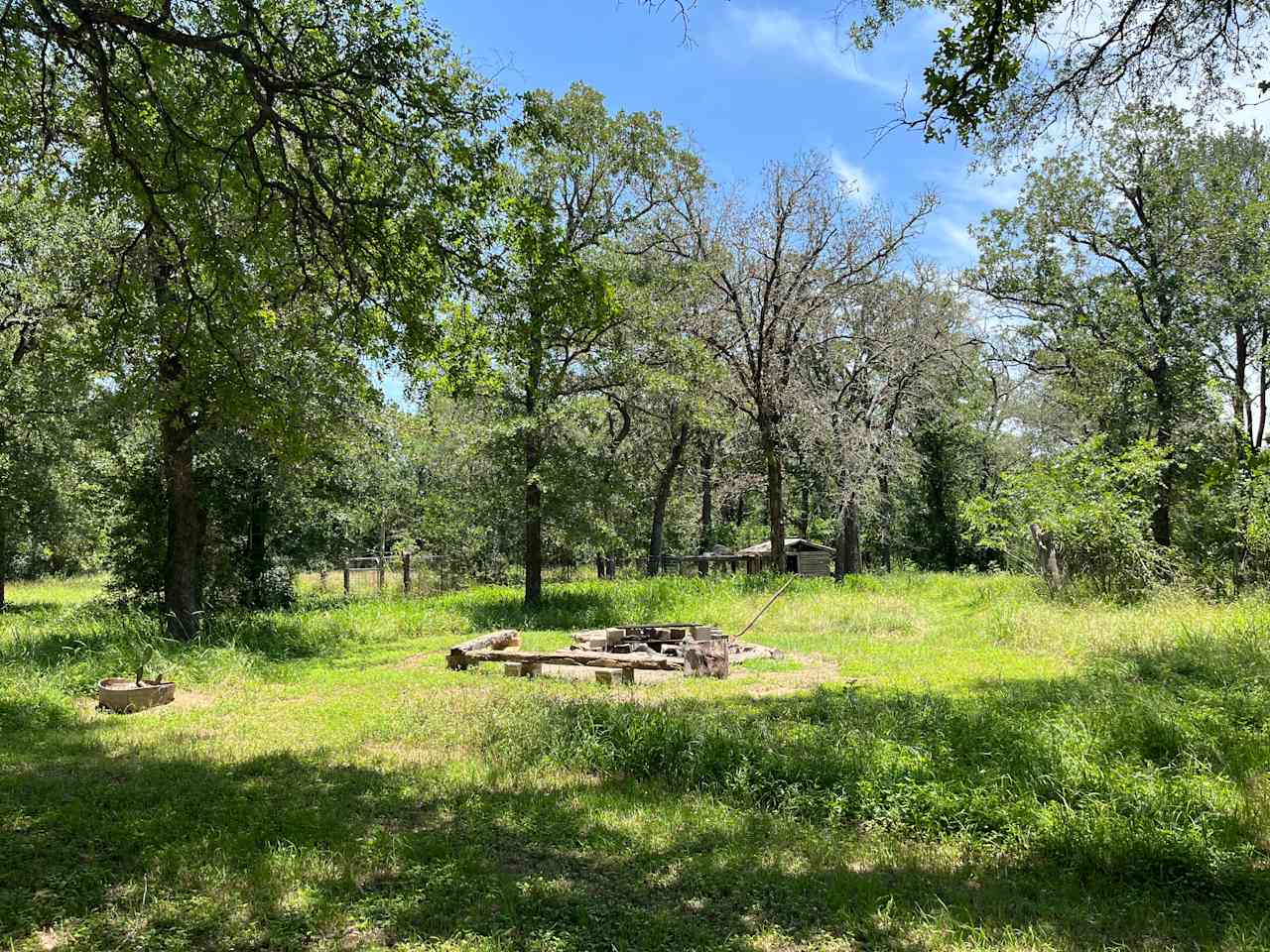 Explore And Stargaze Among The Oaks