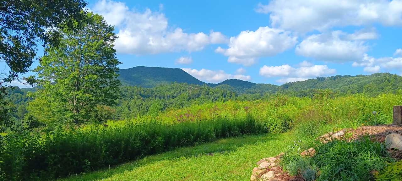 Stunning views and meadowsnto roam