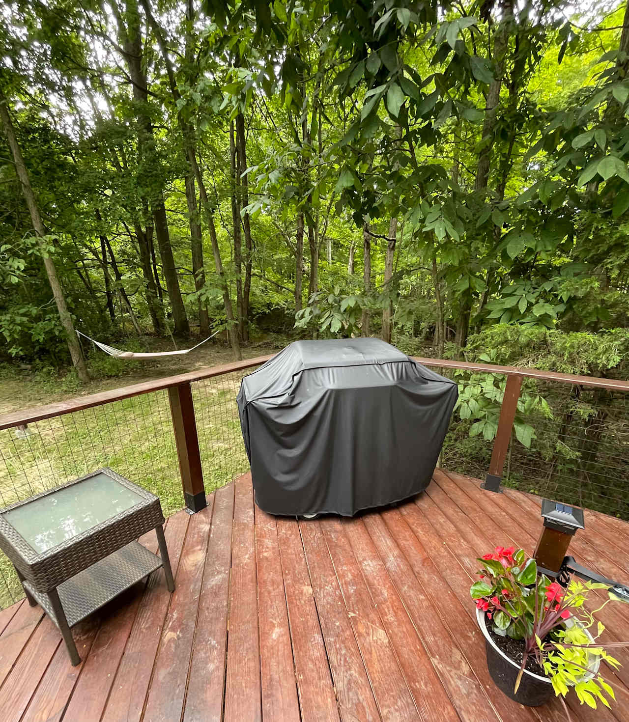 Stargazer Glamping Campsite