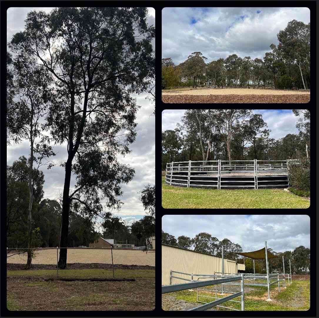 Horse Facilities 