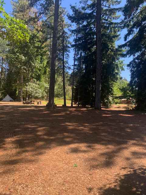 In Town Camping