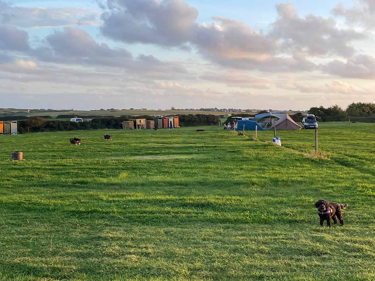 Cadgwith Wild Camping
