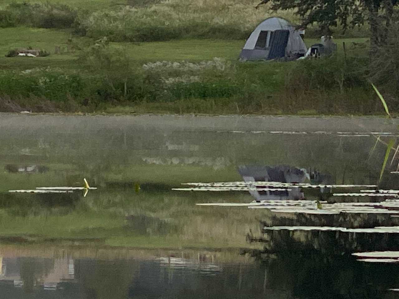 Here On The Farm