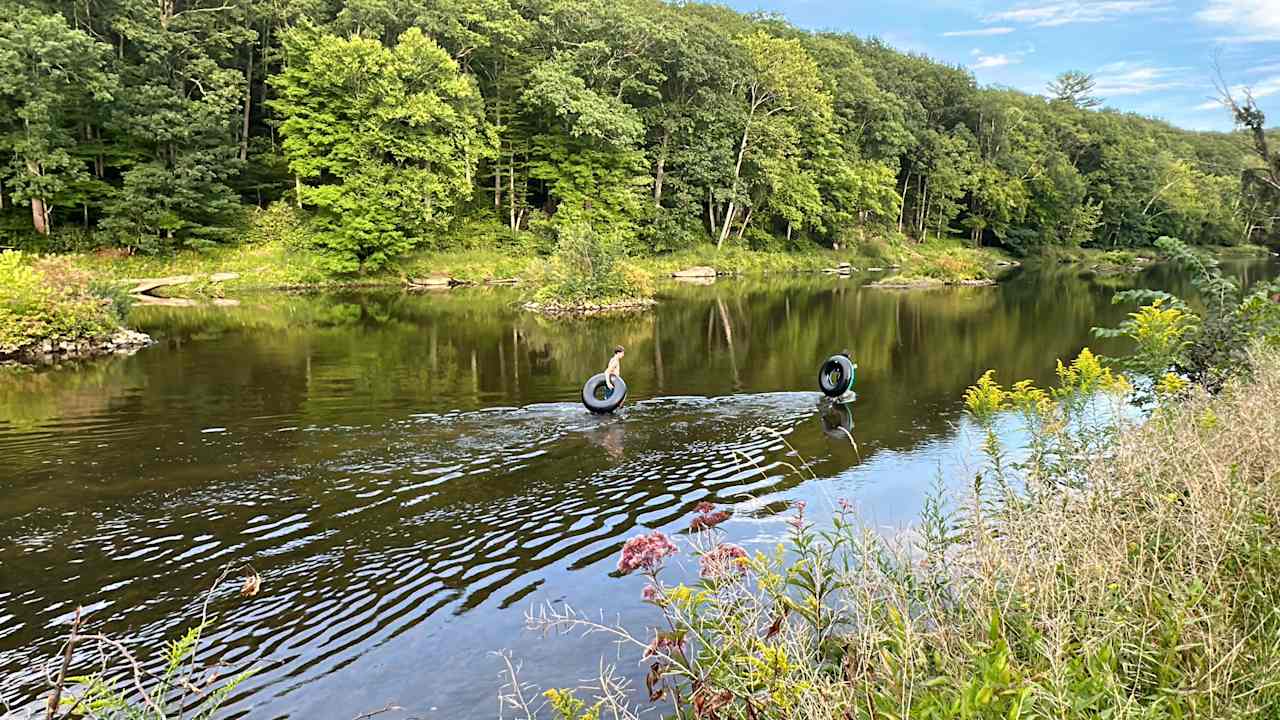 Clarion River View
