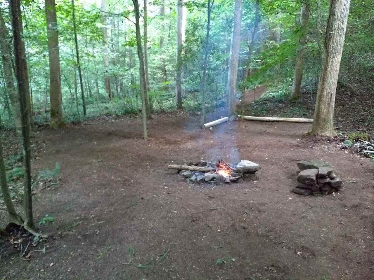 The fern forest tent site