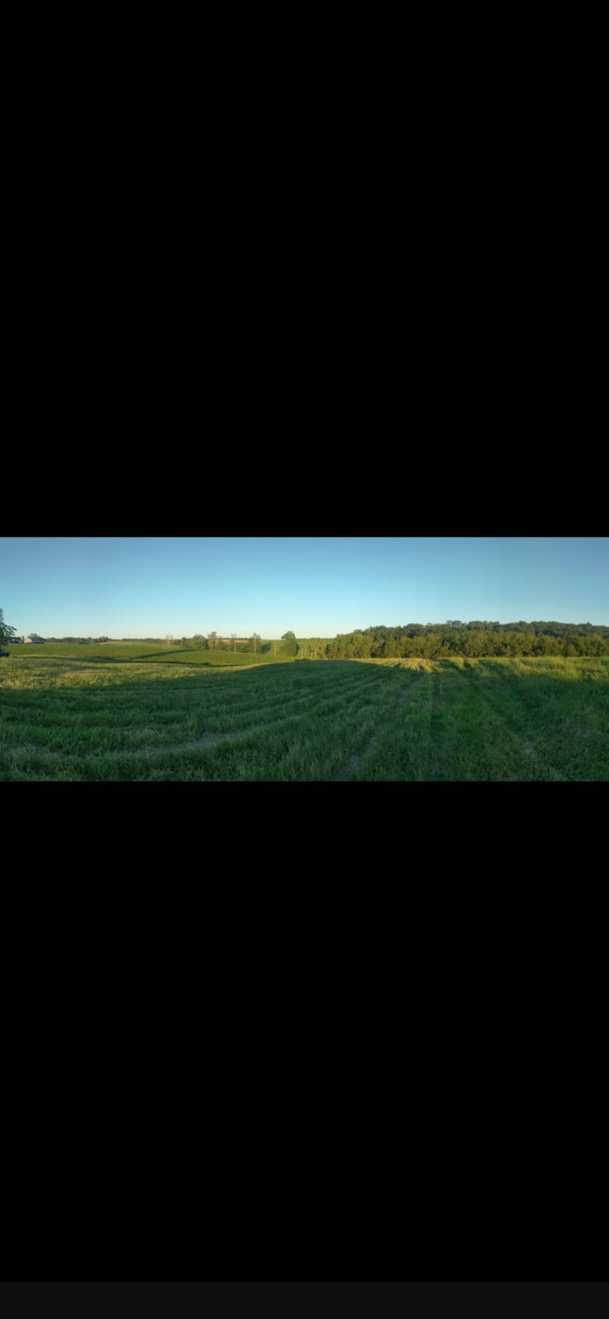 Pfisterville #2