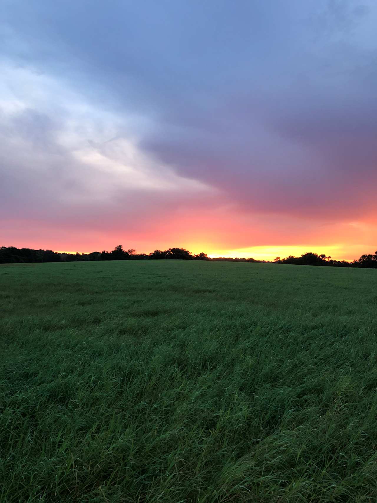 Sunset at Eddy's Pond looking West