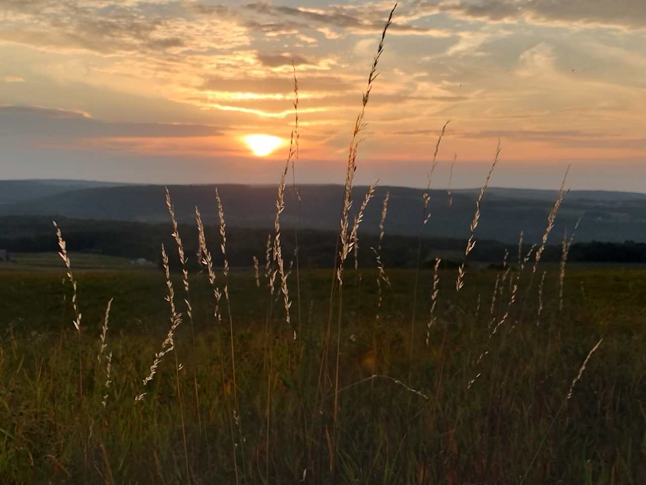 Daddy's Mountain