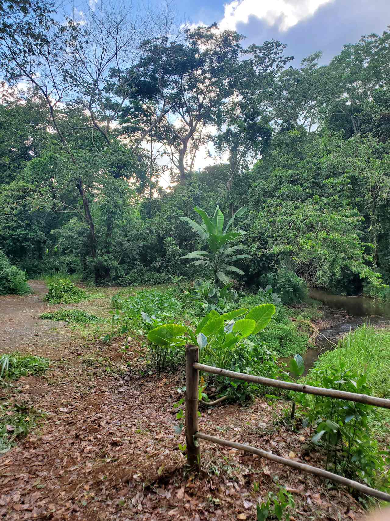 Resecadora Eco-Campground