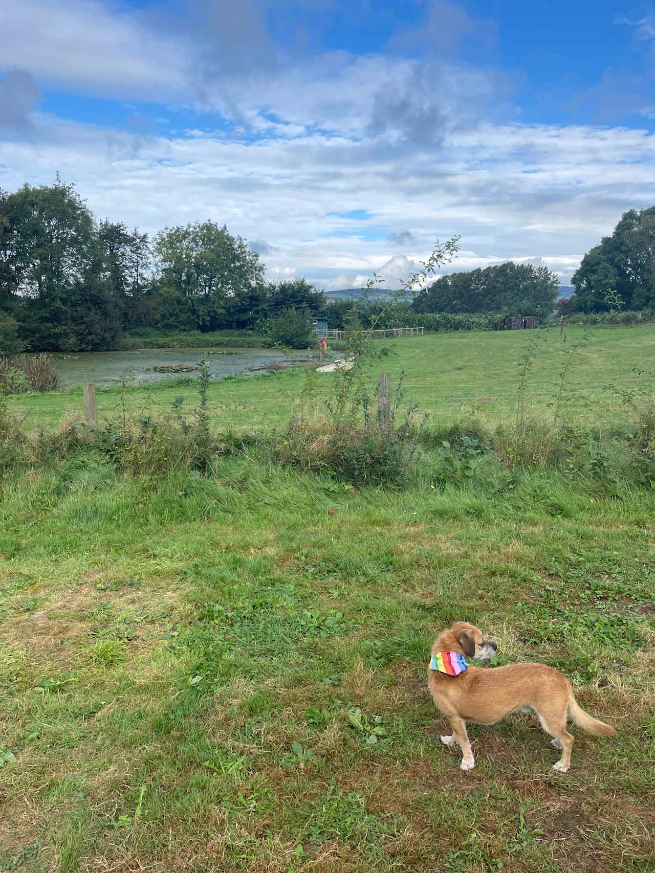 Hobby Farm