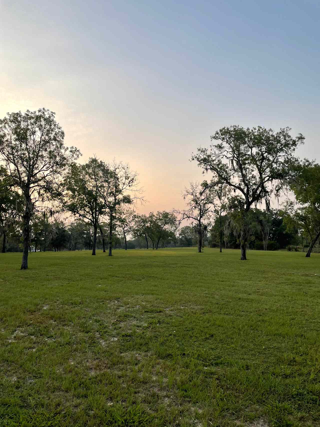 Wildflower Ranch