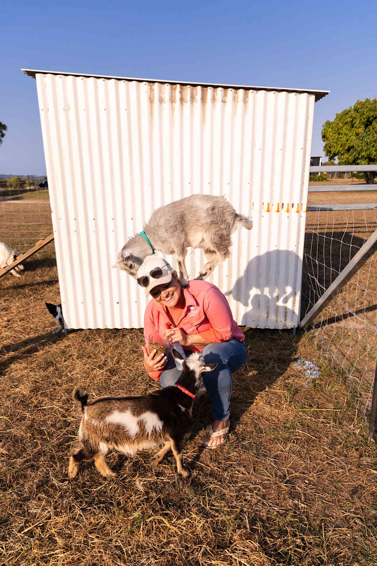 Nicole and her goats